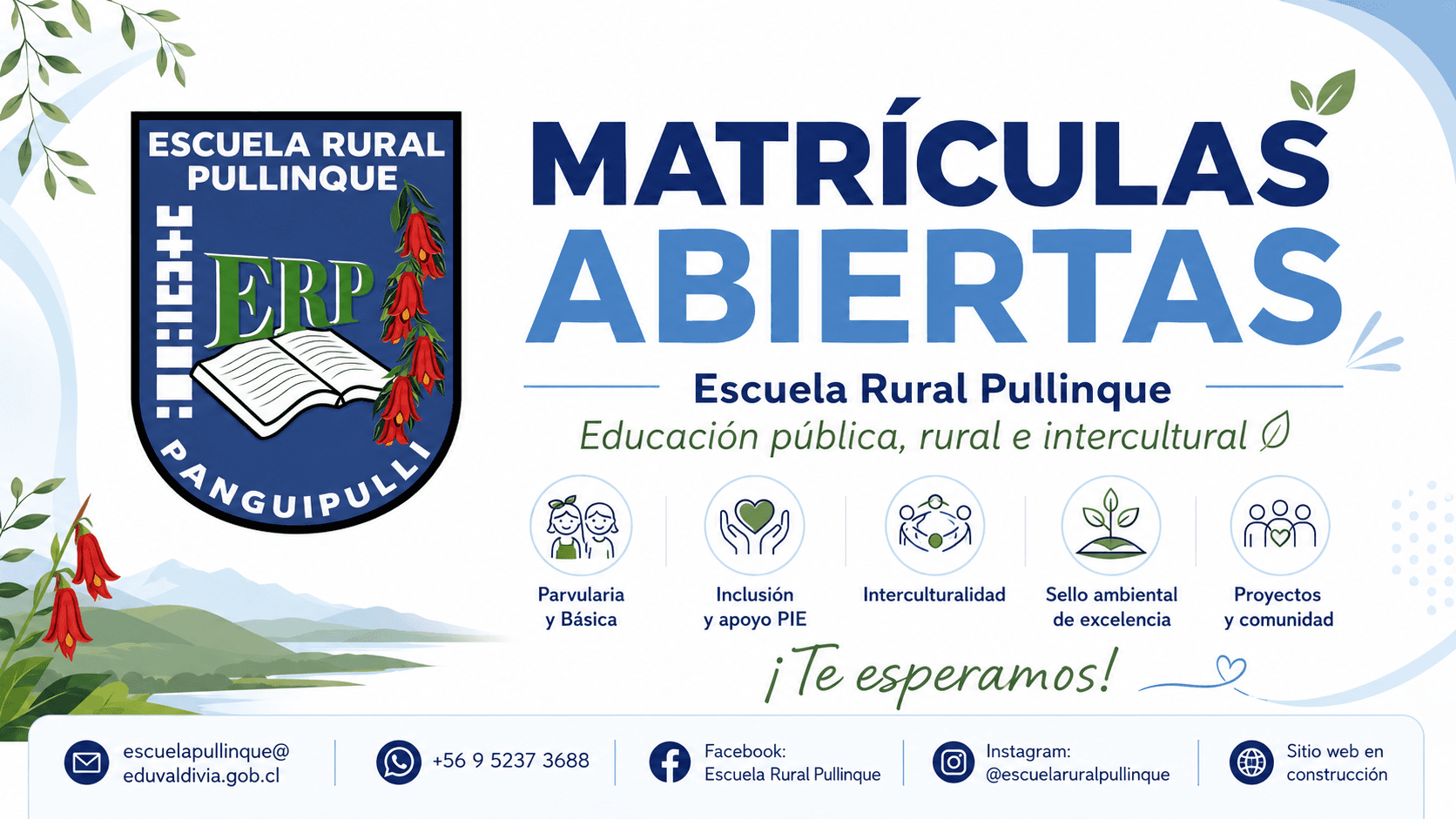 Resumen visual de matrículas abiertas de Escuela Rural Pullinque