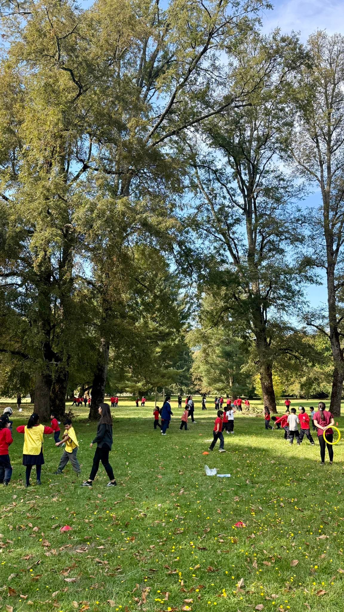 Estudiantes realizando actividad física en un entorno natural