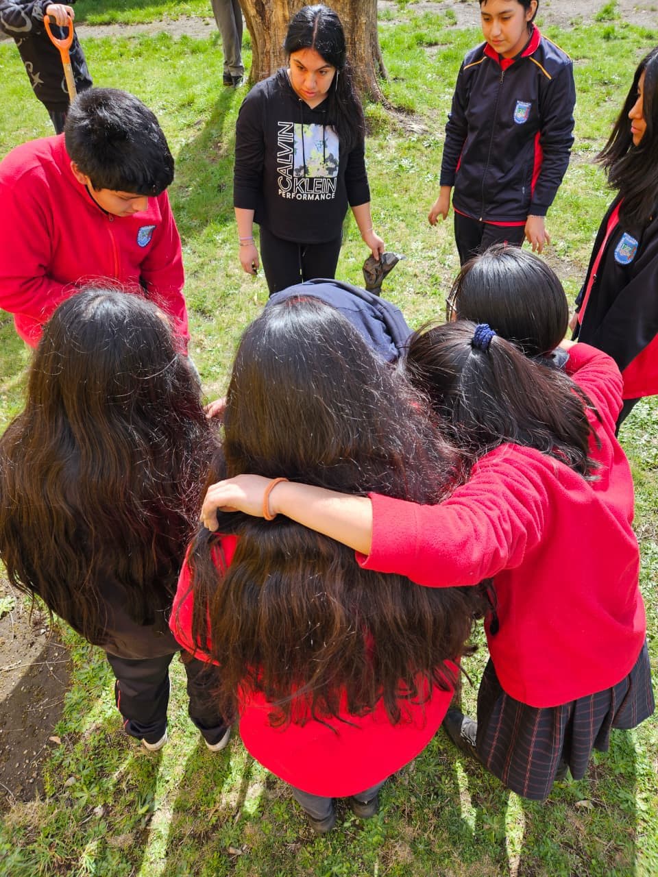 Estudiantes reunidos en una actividad colaborativa de plantación