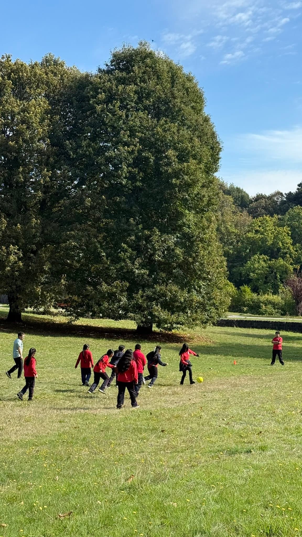 Estudiantes jugando al aire libre en un entorno natural
