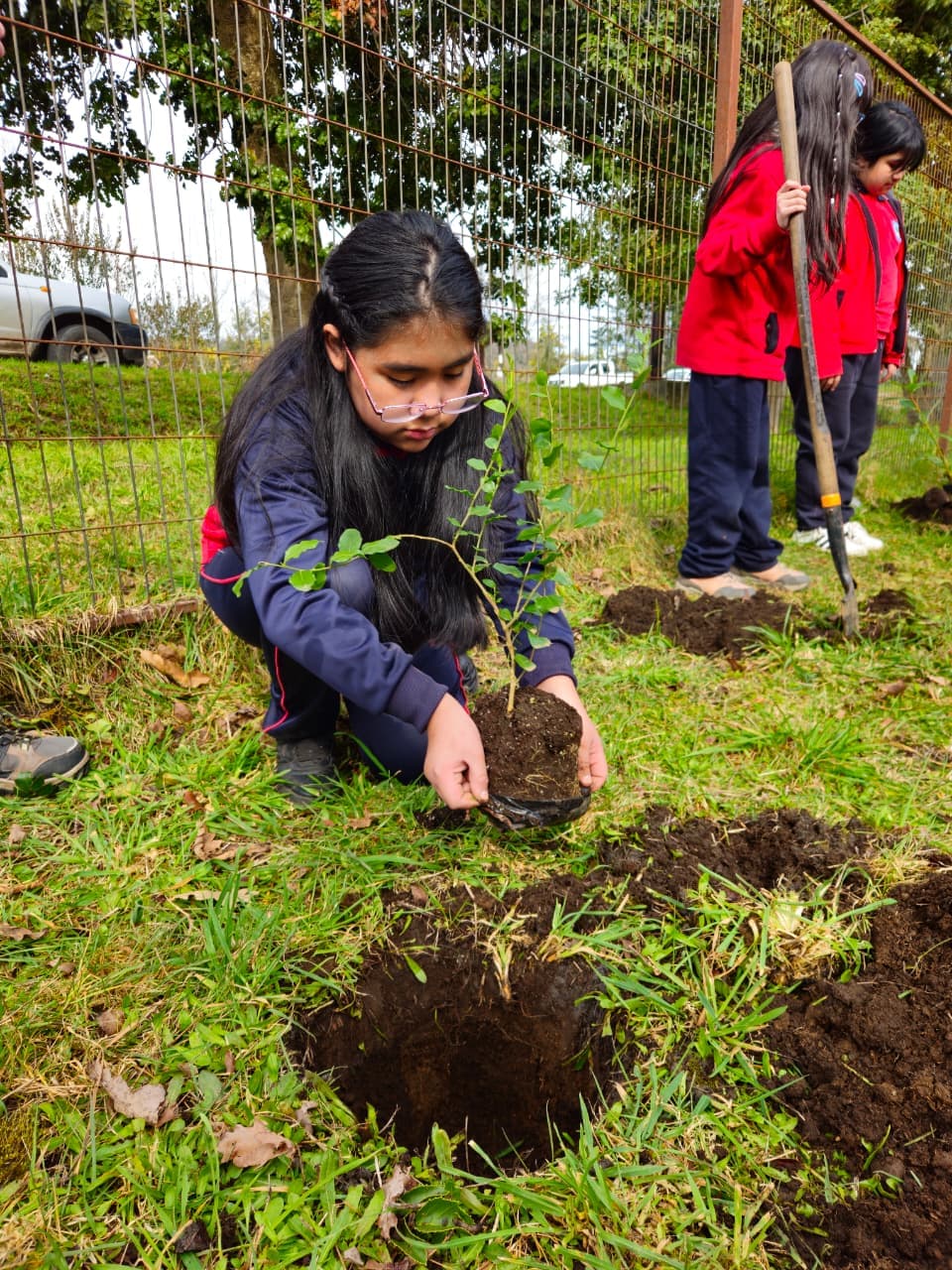 Estudiantes de la escuela participando en la plantación de árboles nativos