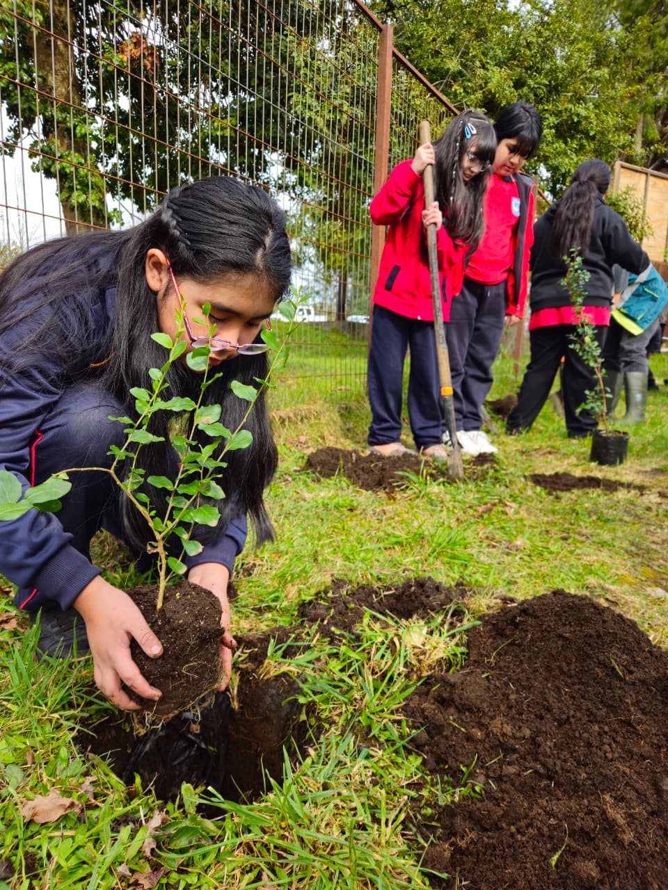 Grupo de estudiantes desarrollando acciones de reforestación en el entorno escolar