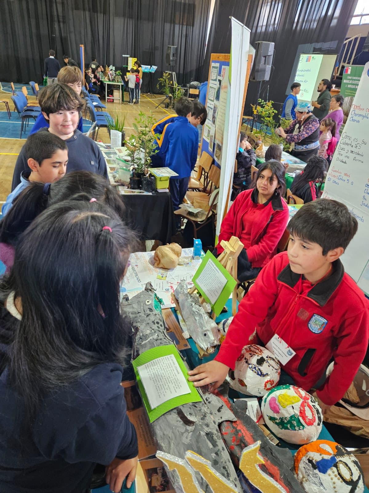 Estudiantes presentando trabajos en una feria de aprendizajes ambientales