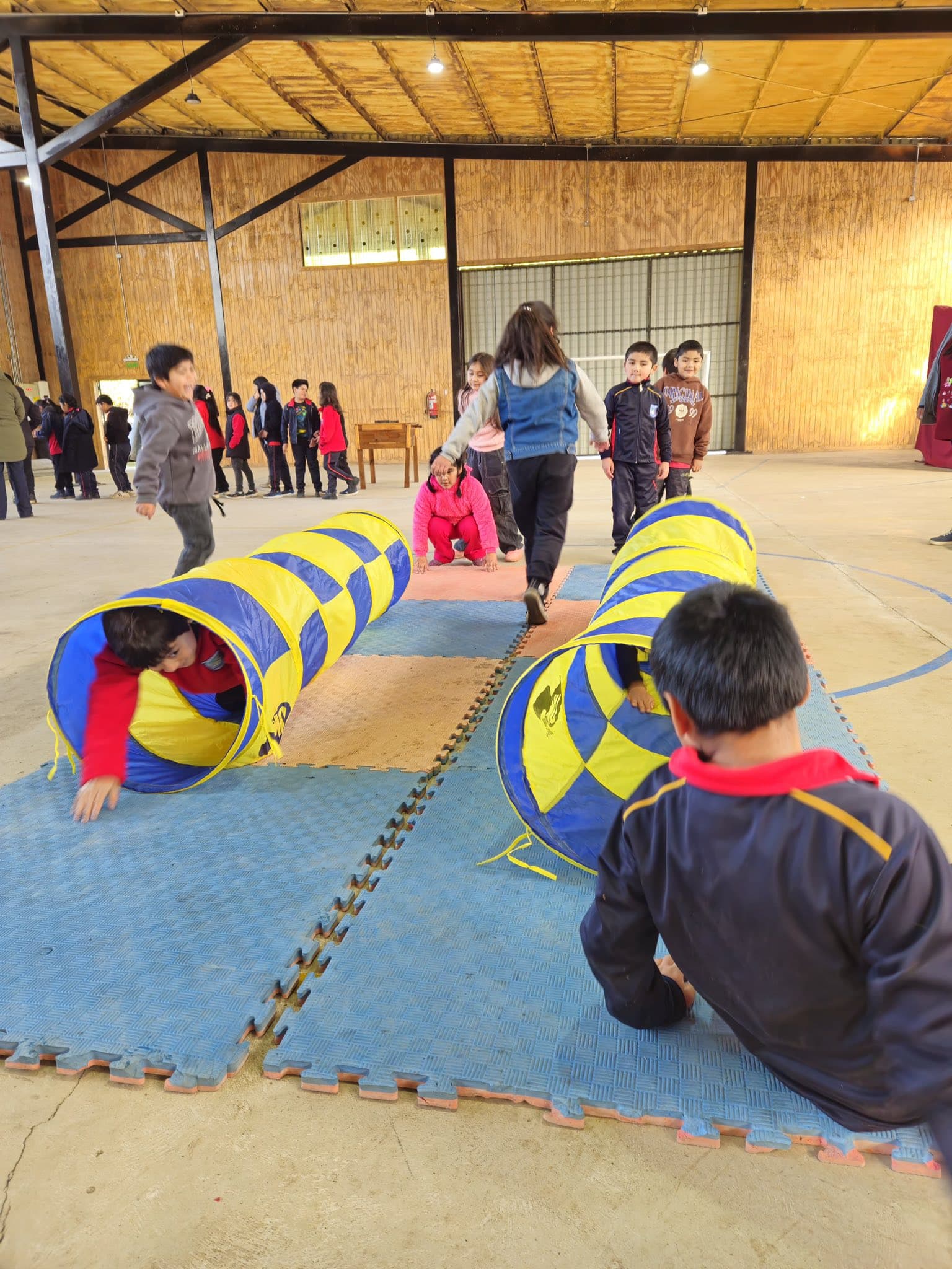 Estudiantes participando en circuitos de actividad física en el gimnasio escolar